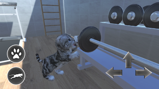 Cat Simulator 🐱 3D