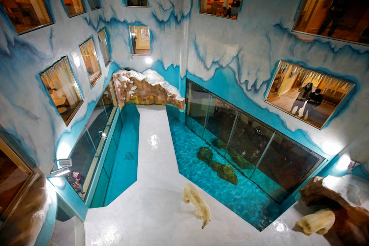 Visitors look at polar bears at an enclosure inside a hotel at a newly-opened polarland-themed park in Harbin, capital of northeast China's Heilongjiang province March 12, 2021.