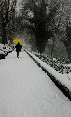 Come la Neve di IlariaInnocenti