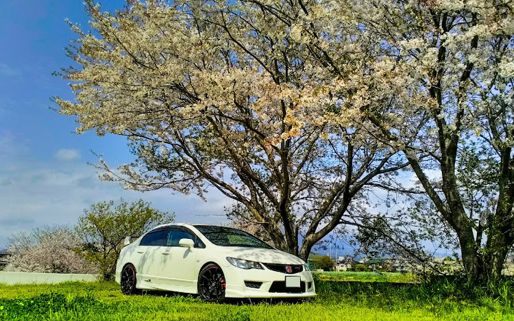 シビックタイプRの桜と愛車に関するカスタム事例の投稿画像11枚目