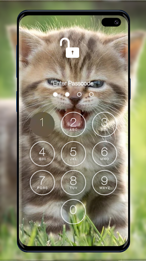 Kittens Wallpapers  Lock Screen