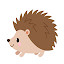 Hedgehogs Cute HD Wallpaper New Tab