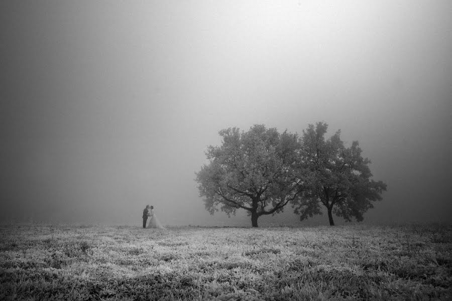 Vestuvių fotografas Thomas Harris (harris). Nuotrauka 2015 kovo 28