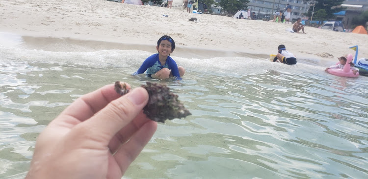 シエンタの白良浜海水浴場・ビキニのおねーさん❤・お盆休み・勝手にコラボ・国道ステッカーに関するカスタム事例の投稿画像3枚目
