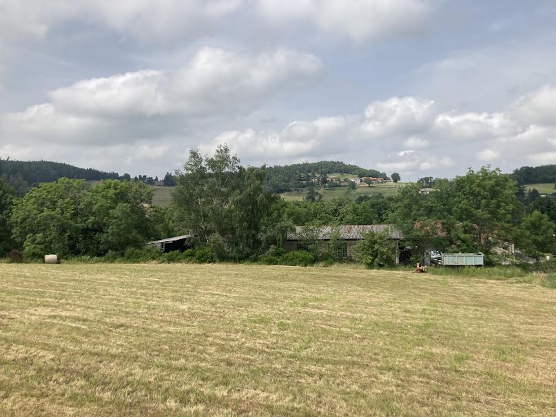 Vente terrain  3496 m² à Montbrison (42600), 78 000 €