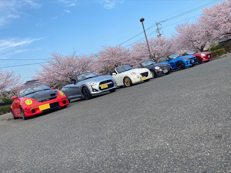 コペンの桜とコラボ・4月もよろしくお願い致します🌸・オフ会・ドライブ・菜の花に関するカスタム事例の投稿画像2枚目