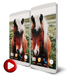 Free Horses Video Live Wallpaper APK for PC