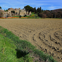 tracce di pneumatici di trattore di 