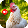 Animal Ringtones & Bird Sounds icon