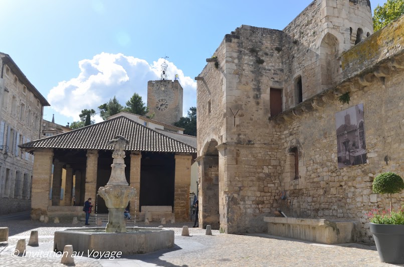 Pernes-les-fontaines, fontaine du cormoran