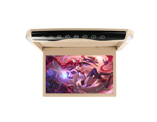 Title 1, Car Mounted High Definition Ceiling Display Enj...