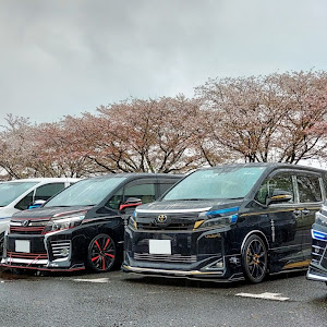 ヴォクシー ZRR80W