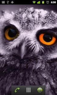 How to mod little owl wallpaper patch 1.1 apk for pc