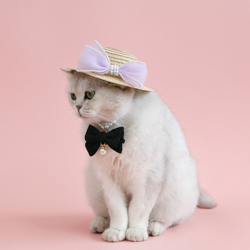 Title 6, Pet Cat Lady Straw Hat Pearl Bow Woven, ideal f...