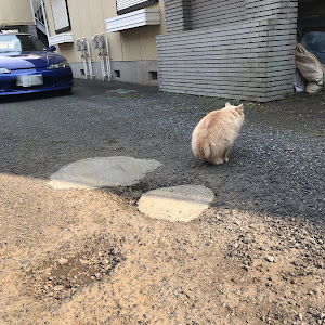 シルビア S15