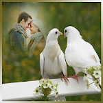 Cover Image of Télécharger Love Birds Photo Frames 1.1 APK