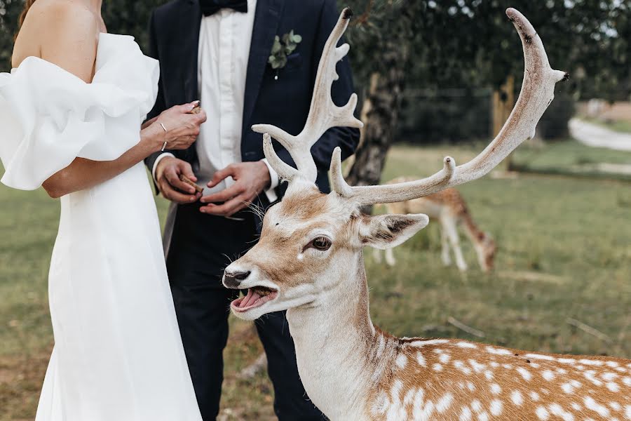 Wedding photographer Andrej Gurjanov (fotosaga). Photo of 24 January