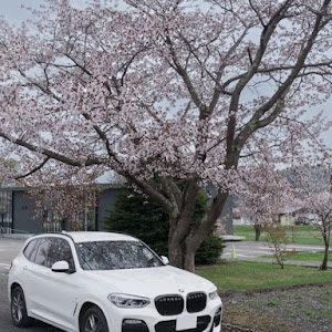 X3 xDrive 20d