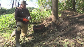 Pennsylvania Nest Raiders thumbnail