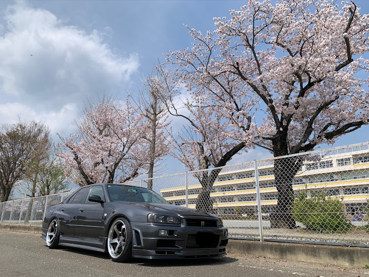 スカイラインの桜コラボ・桜と愛車・サクラと愛車・学校に関するカスタム事例の投稿画像3枚目