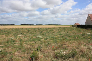 terrain à Nemours (77)