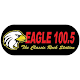 EAGLE 100.5 Download on Windows