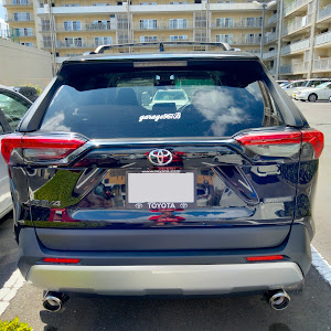 RAV4 MXAA54