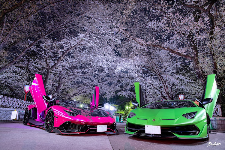Black Cab photographerさんが投稿した夜桜撮影・桜撮影・夜桜と愛車・撮影依頼募集中・Black Cabに関するカスタム事例の投稿画像1枚目
