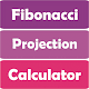 Fibonaci Projection Calculator Download on Windows
