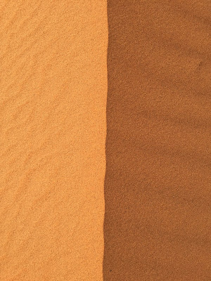 Nel deserto basta un filo di vento per cambiare tutto di masi