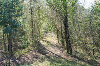 terrain à Vouneuil-sur-Vienne (86)