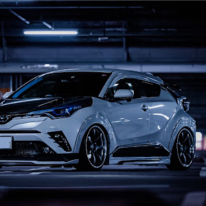 C-HR NGX50