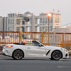 Z4 ロードスター G29