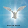 Imagenes Religiosas Download on Windows