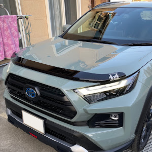 RAV4 MXAA54