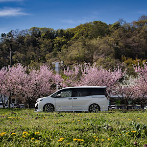 ノア ZRR80W