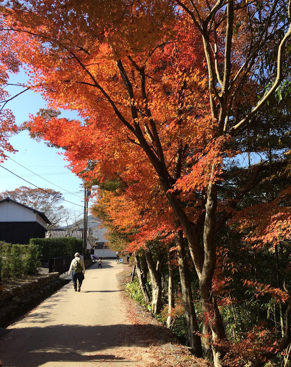 の投稿画像3枚目