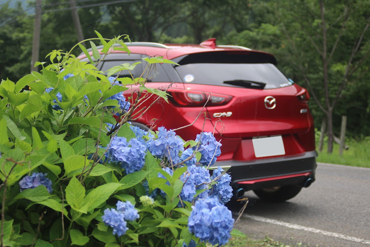 CX-3の温泉♨️・神社⛩巡り・ドライブに関するカスタム事例の投稿画像1枚目