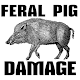 Download Feral Pig Damage For PC Windows and Mac 1.22