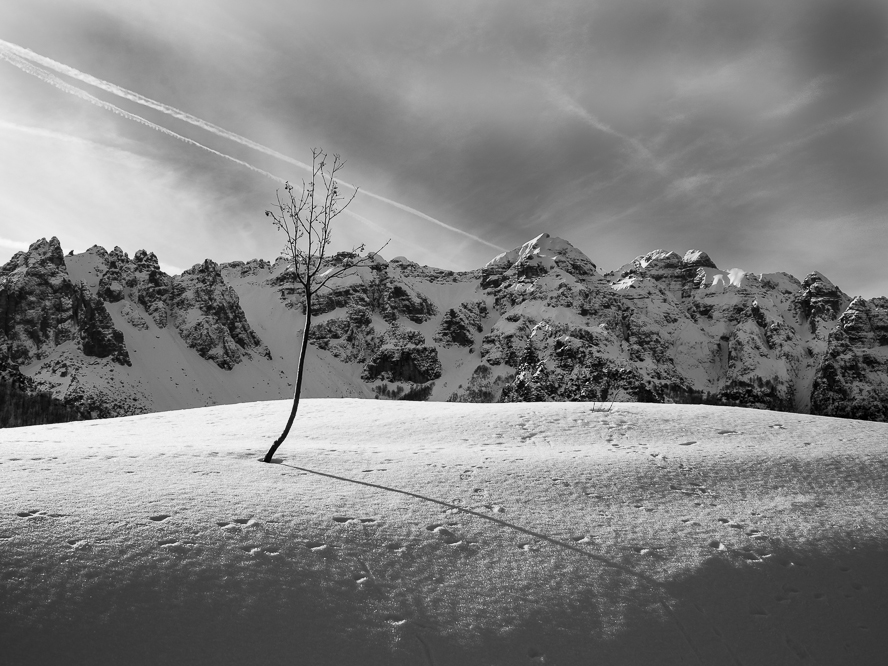 bianco di gasparella andrea