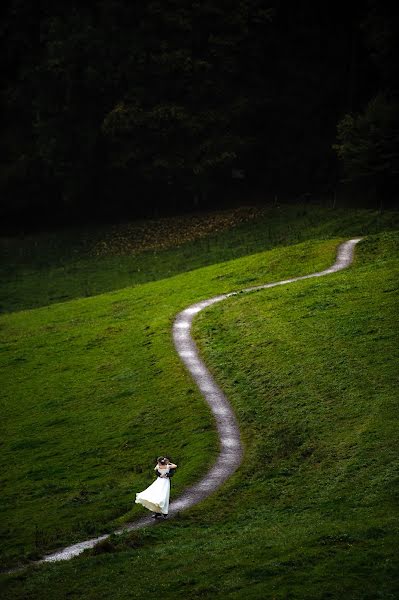 Fotograf ślubny László Víg (fotovig). Zdjęcie z 14 maja 2015