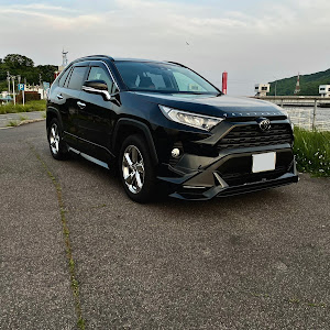 RAV4 MXAA52