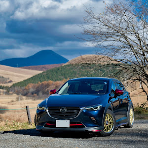 CX-3 DKEFW