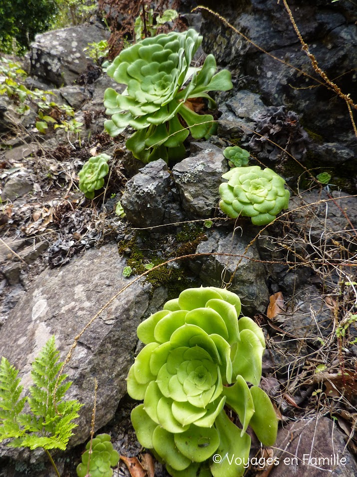 Rando El Cedro - Hermigua - Ermita de Lourdes