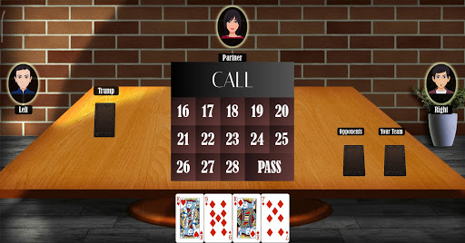 29 Card Game screenshots 2