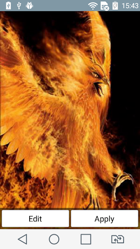 Blazing bird live wallpaper