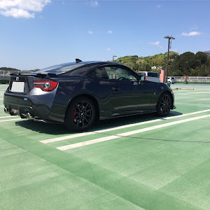86 ZN6