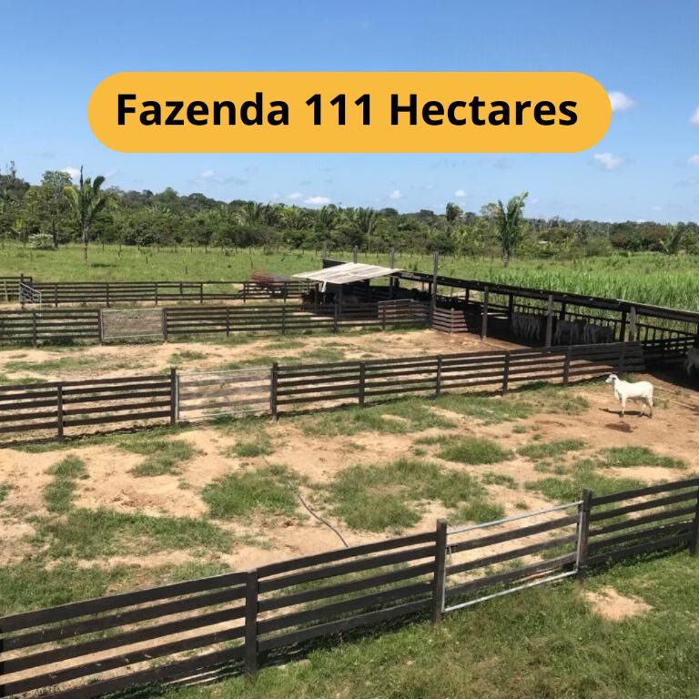 Fazendas à venda Zona Rural