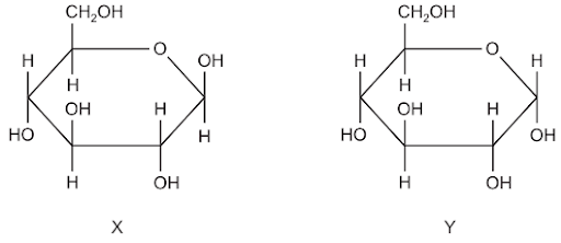 Carbohydrates