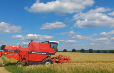 Harvest wheat small promo image